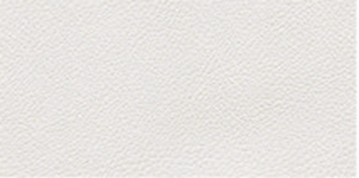 羅曼329-22C 衛(wèi)浴吊頂.jpg